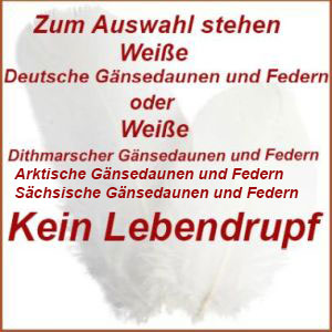 Weiße deutsche Gänsedaunen und Federn ohne Lebendrupf gewonnen