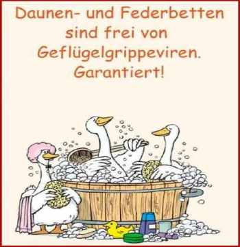 Gänsefeder und Daunen sind Virenfrei