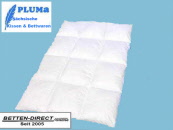 Winterdecke Kassetten-Bett 155x220 3x4, Innensteg 10cm, 1440 g 100% deutsche Gänsedaunen, 100% Baumwolle